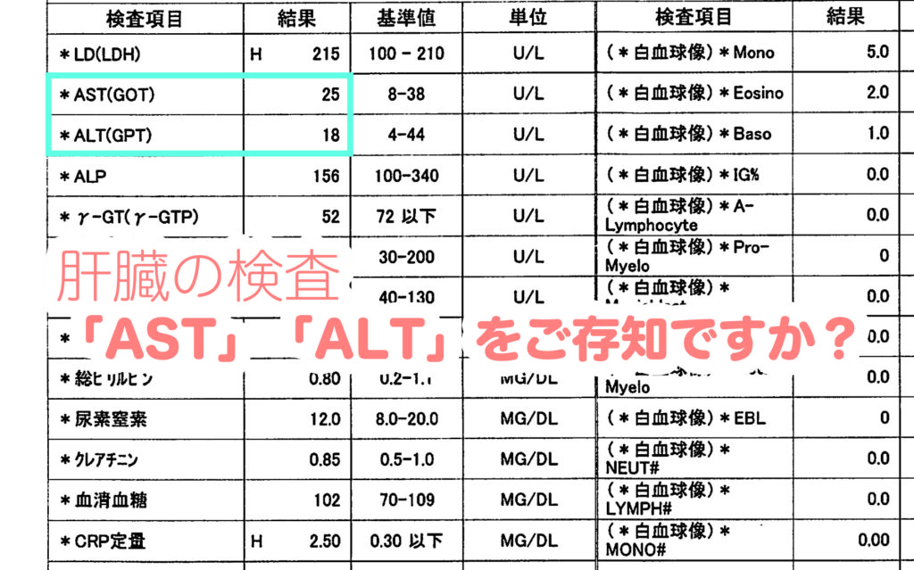 肝臓の検査「AST」「ALT」をご存知ですか？ | 医療法人社団 西宮回生病院