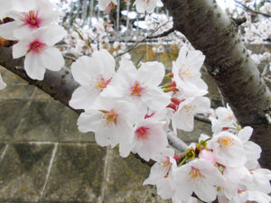 職員専用の託児所