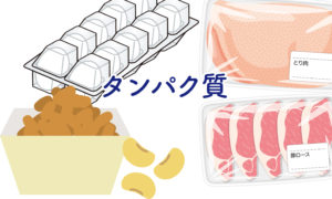 タンパク質料理がおすすめ