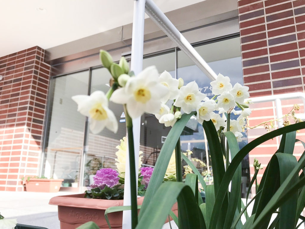 緑化活動や園芸療法、脳トレDAY