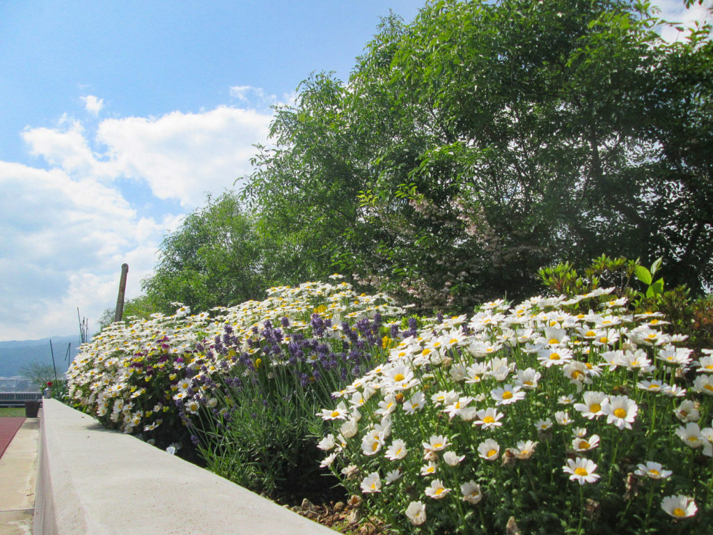 西宮回生病院 リハビリテーション部　屋上の風景