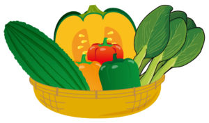 夏の野菜