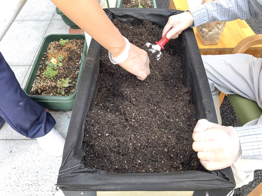 【デイケア緑化活動】チューリップ&ビオラ