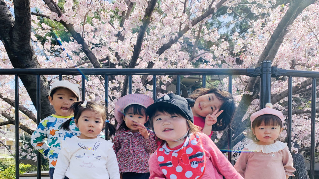託児所の子どもが桜を楽しむ