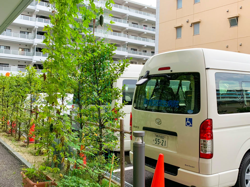 デイケア_夏から秋へ_20210916