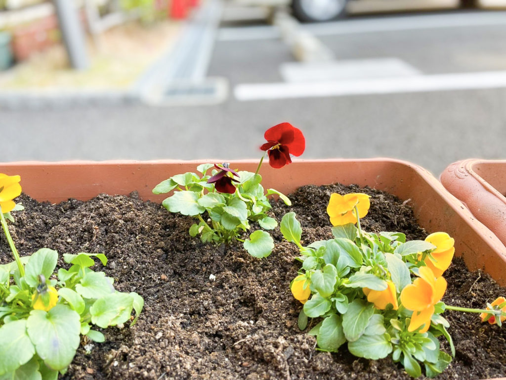 デイケア_2022.0110