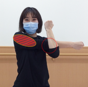 肩甲骨後面のストレッチ