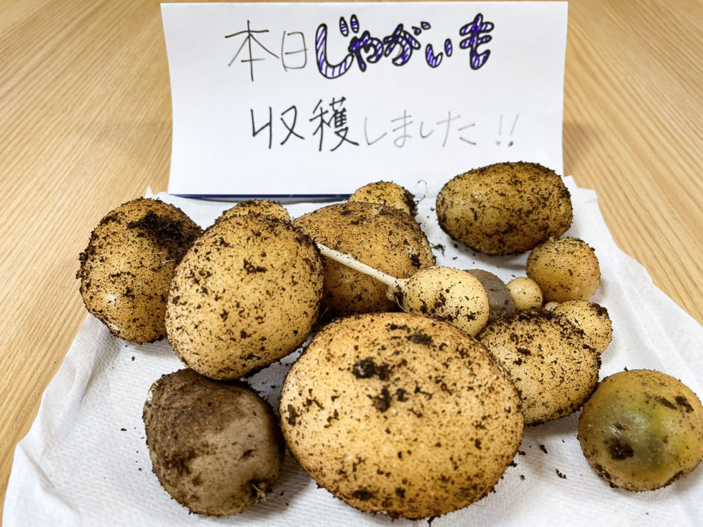 デイケア緑化活動_0620