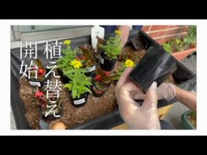 【デイケア】6月の緑化活動