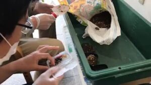 【デイケア】4月の緑化活動