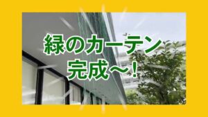 【デイケア】6月の緑化活動