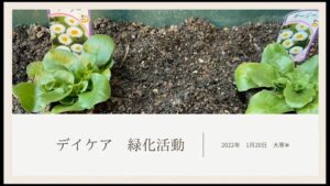 【デイケア】1月の緑化活動