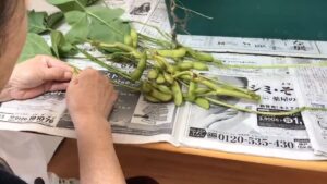 【デイケア】10月の緑化活動