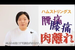 【動画解説】ハムストリングス（腰痛:膝痛:肉離れの予防）