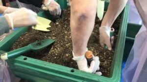 【デイケア】11月の緑化活動＆園芸療法