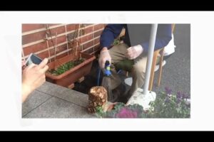 【デイケア】2月の緑化活動