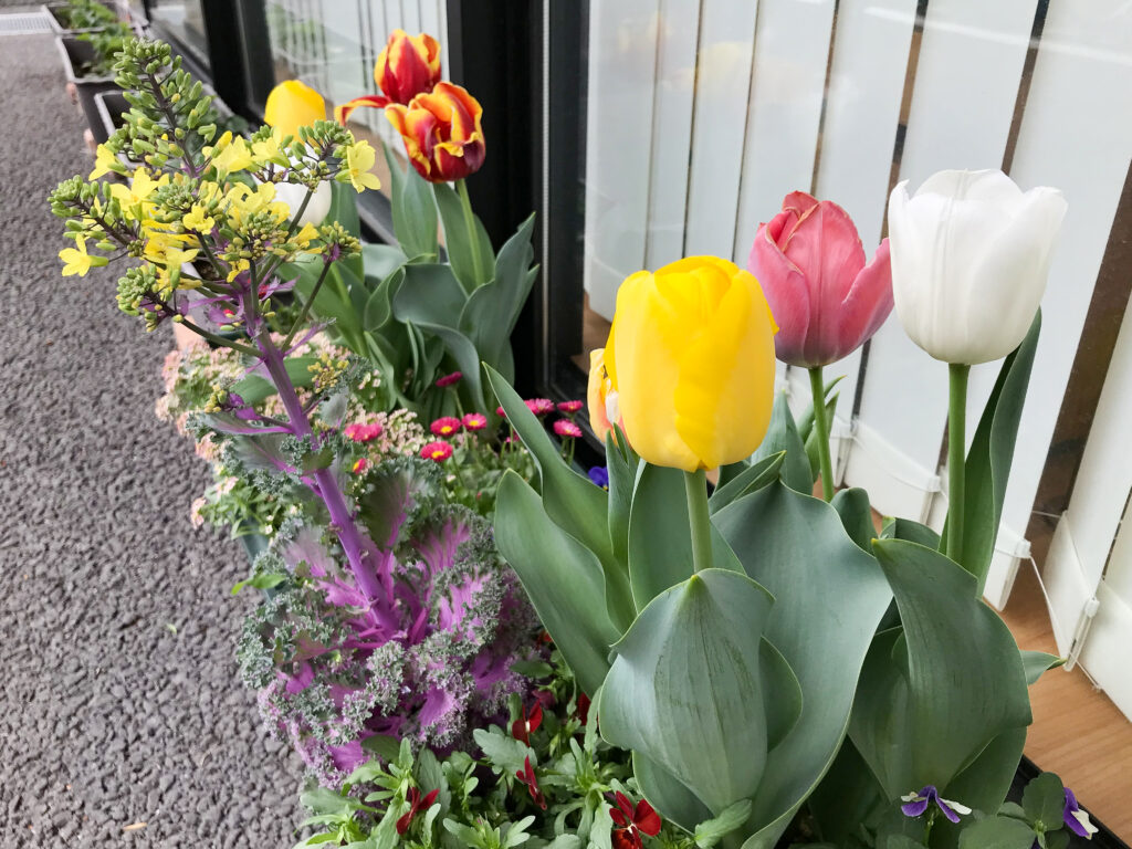 緑化活動＆壁の装飾を春に！