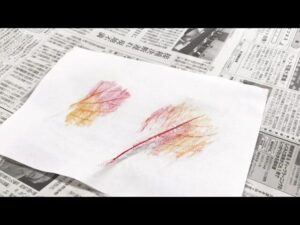 【リハビリ】10月の園芸療法を行いました！