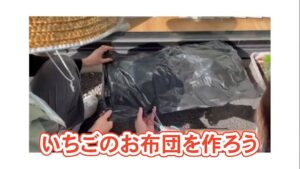 【デイケア】緑化活動2023年4月